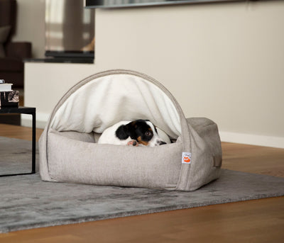 4 Reasons Why This Snuggle Cave Bed is The Best Anti-anxiety Bed for Dogs and Cats