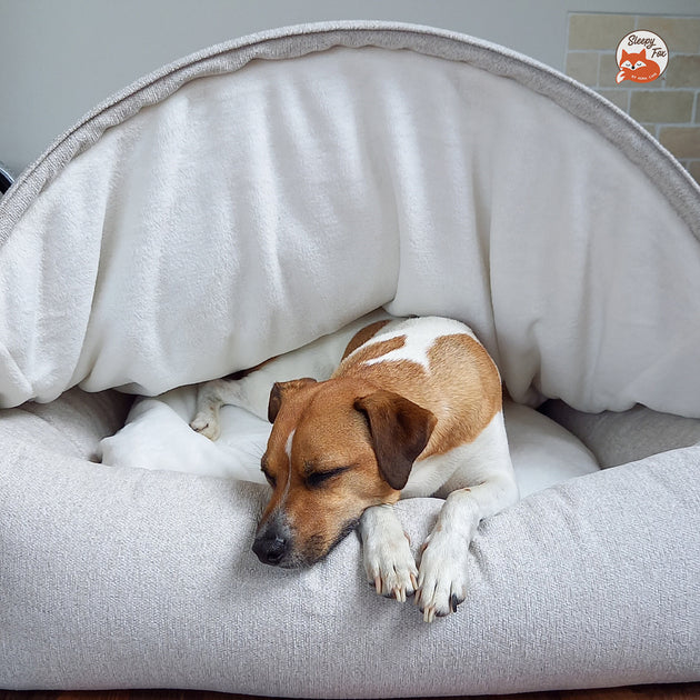 Sleepy Fox Covered Cozy Canopy Cave Beds for Dogs and Cats