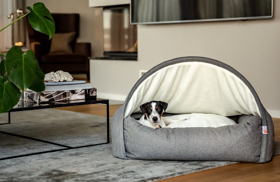 Cave bed on sale for small dogs