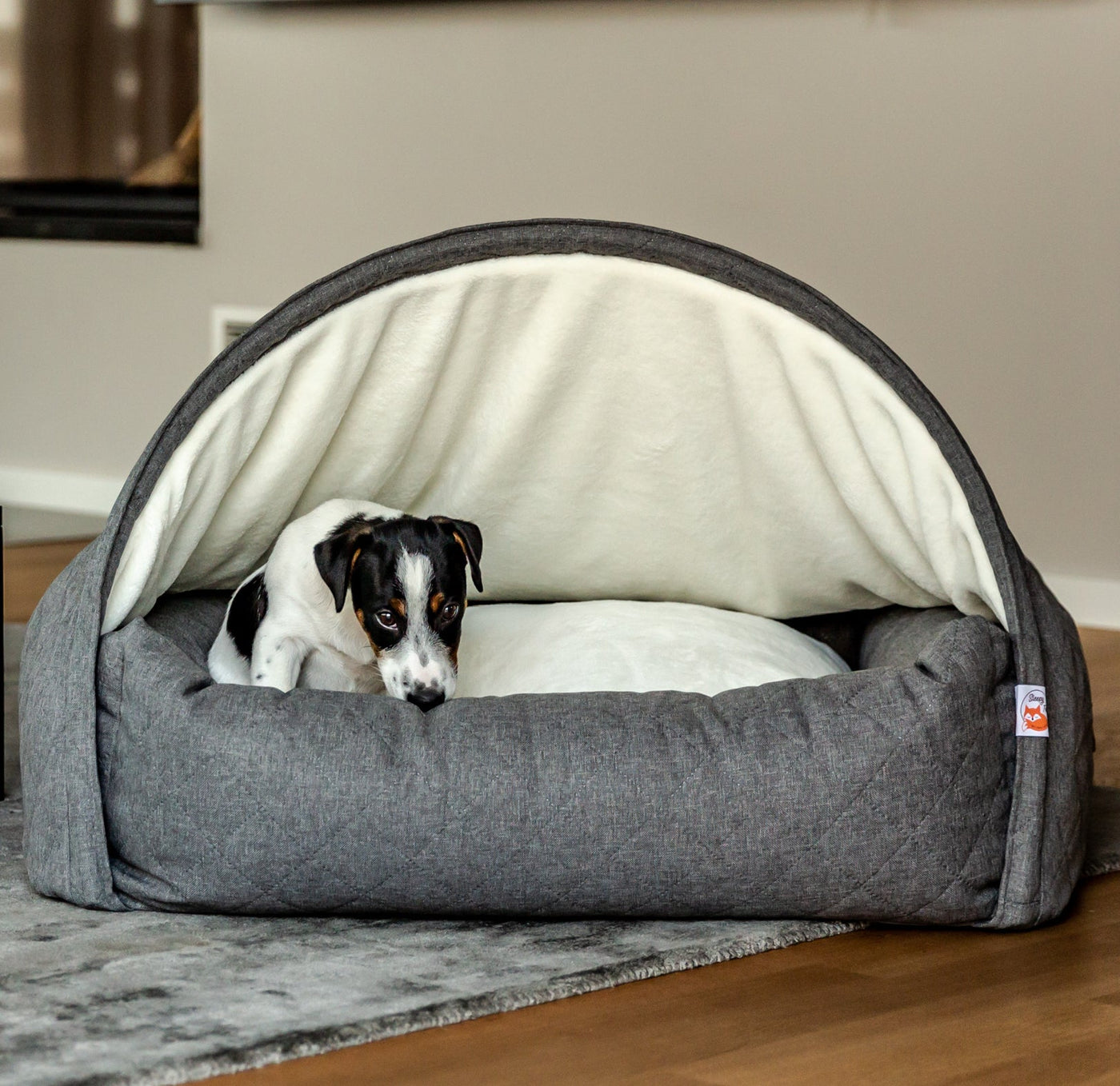 Jack Russell puppy sitting in a dog bed with an attached blanket in a living room