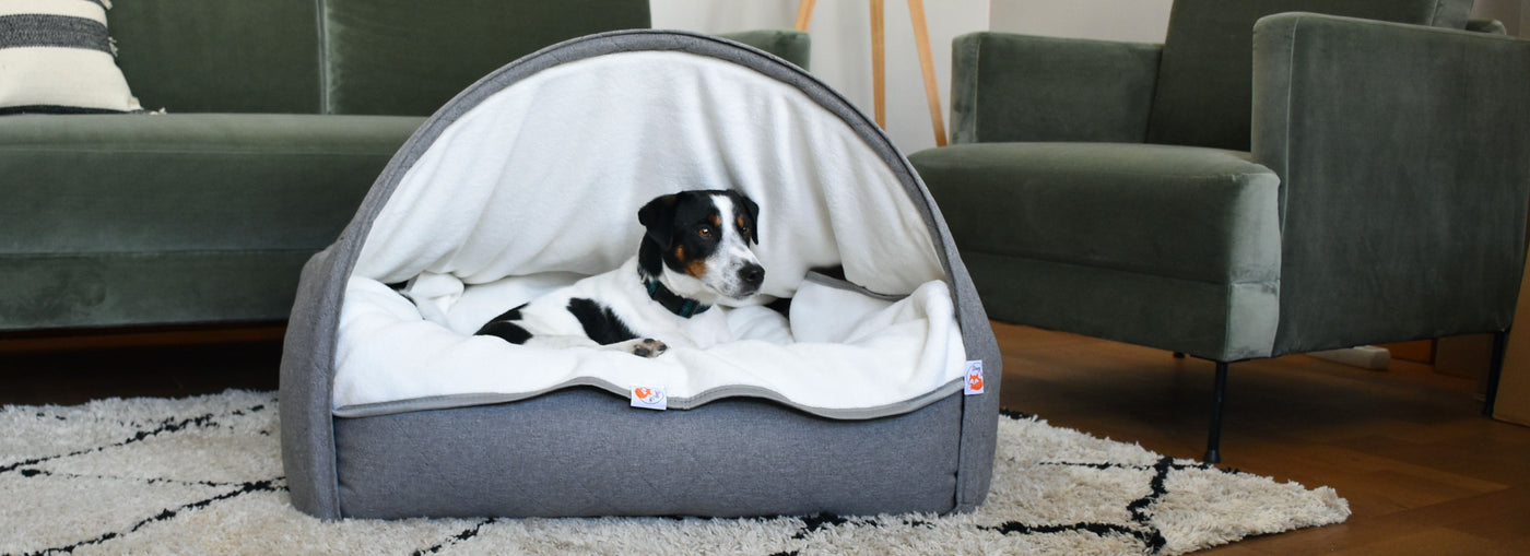 Sleepy Fox® Snuggle Cave Bed with easy-wash pet blanket in matching color and size. Try-color Jack Russell Terrier sleeping in canopy cave bed.