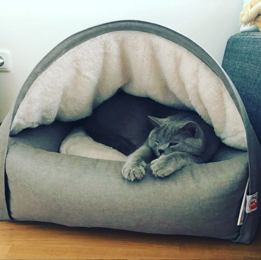 Harmony igloo hooded bed online