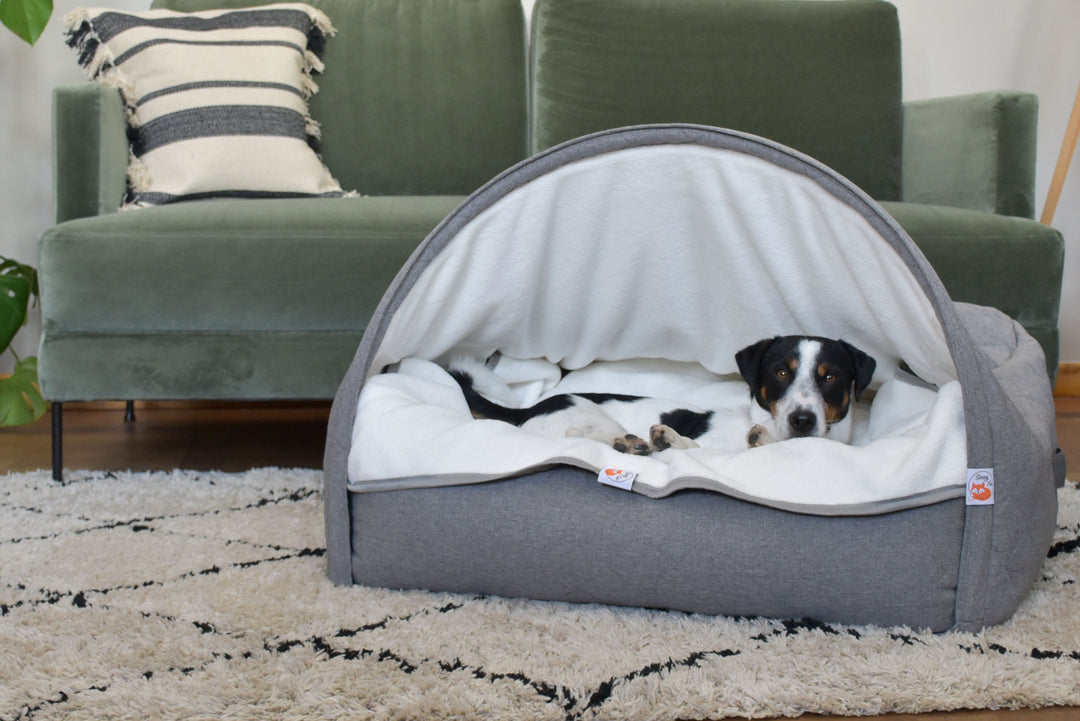 Clam dog bed shop